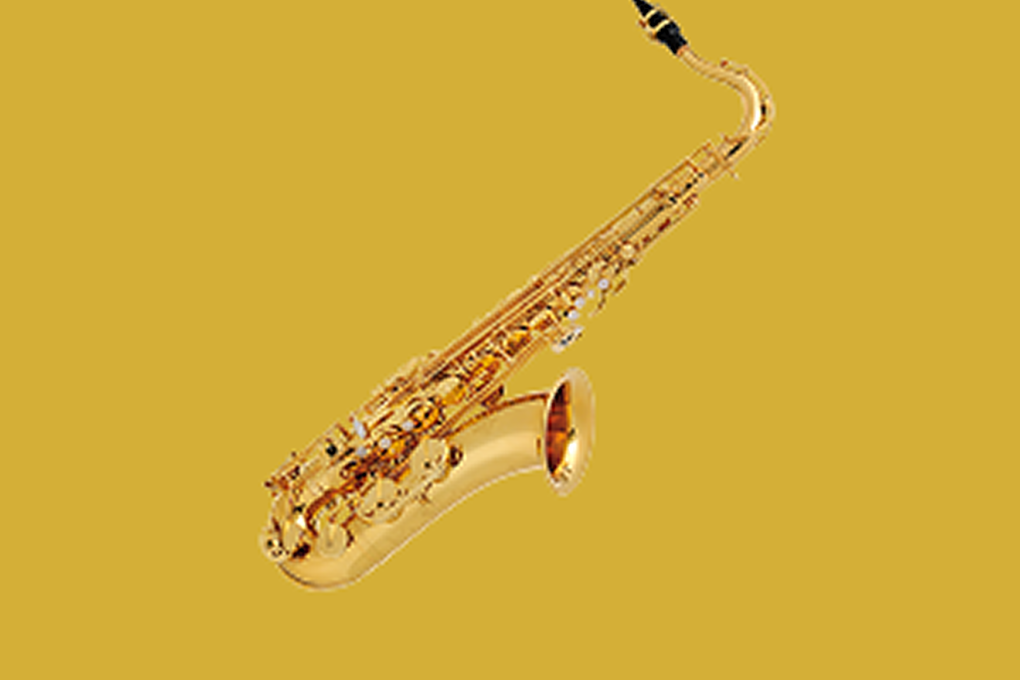 flute-1-270×180-1-1 1 (1)