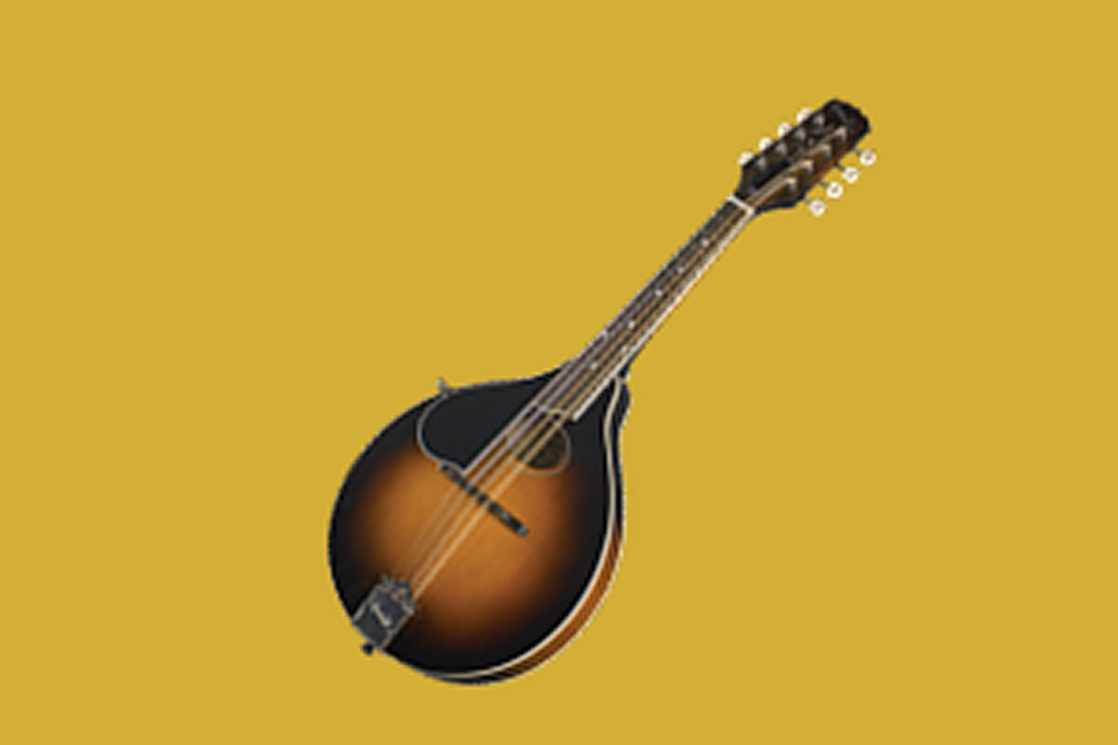 flute-1-270×180-1-1 1 (2)